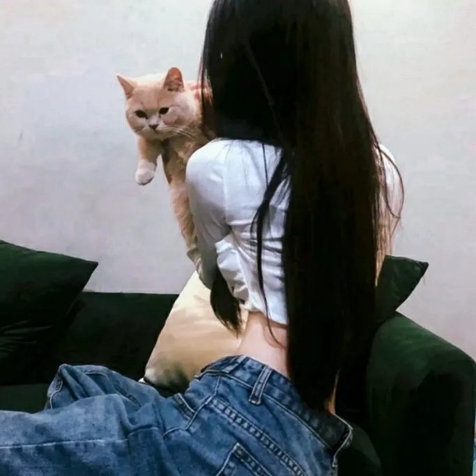 海边的屋子